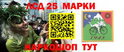spice Кимры