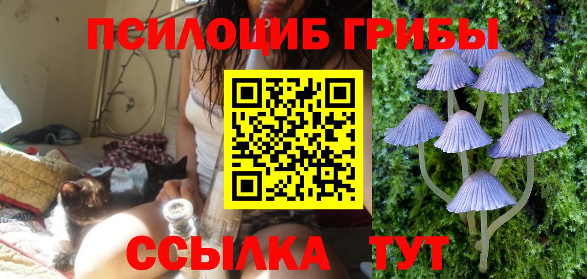 Галлюциногенные грибы MAGIC MUSHROOMS  Вход с VPN  Усть-Лабинск 